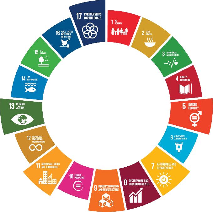 UNDP SDGs